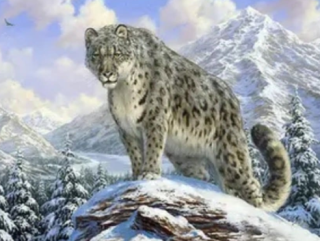 Diamond Painting Schneeleopard